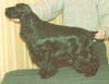 Manfred