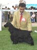 Pepito